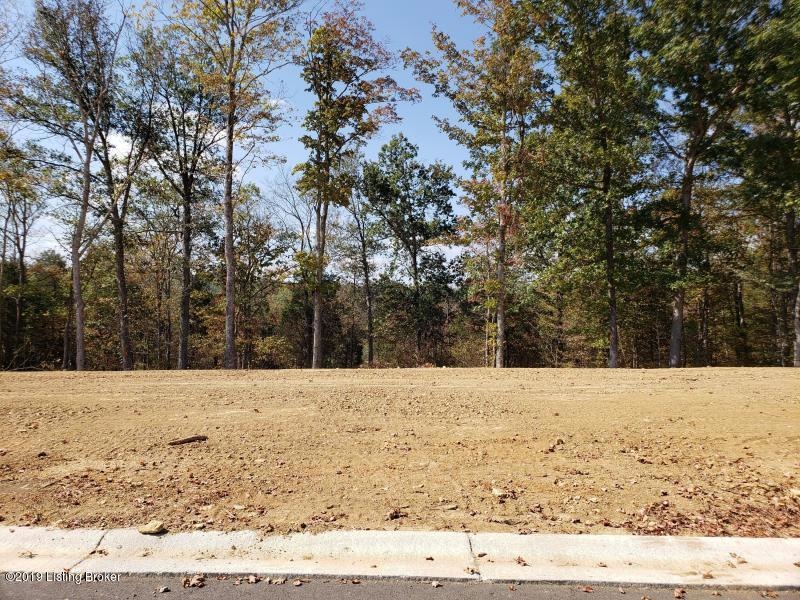 35 Kilner Goodlet Ct, Mount Washington, KY 40047 - photo 1