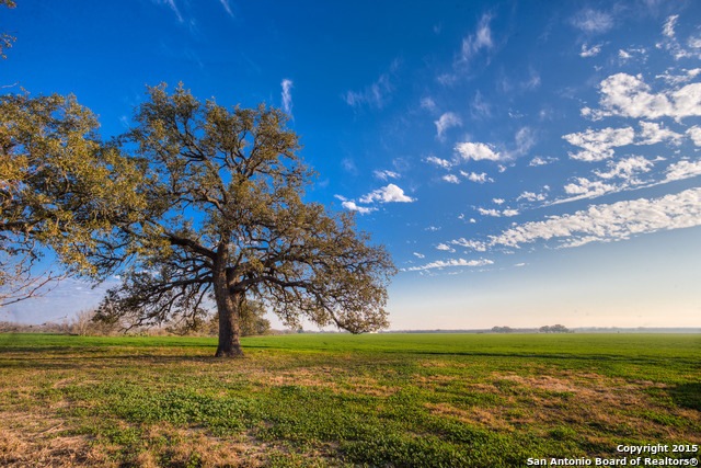 930 County Road 451, Hondo, TX 78861 - photo 1