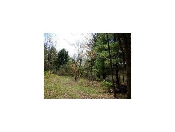 F E Hubbardton Rd, Castleton, VT 05735 - photo 1