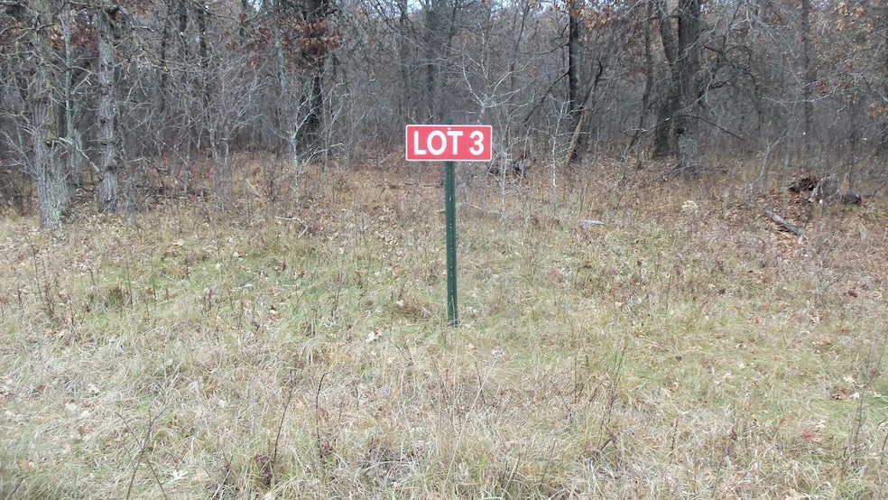 Lot 3 300th St, Sterling Township, WI 54024 - photo 1