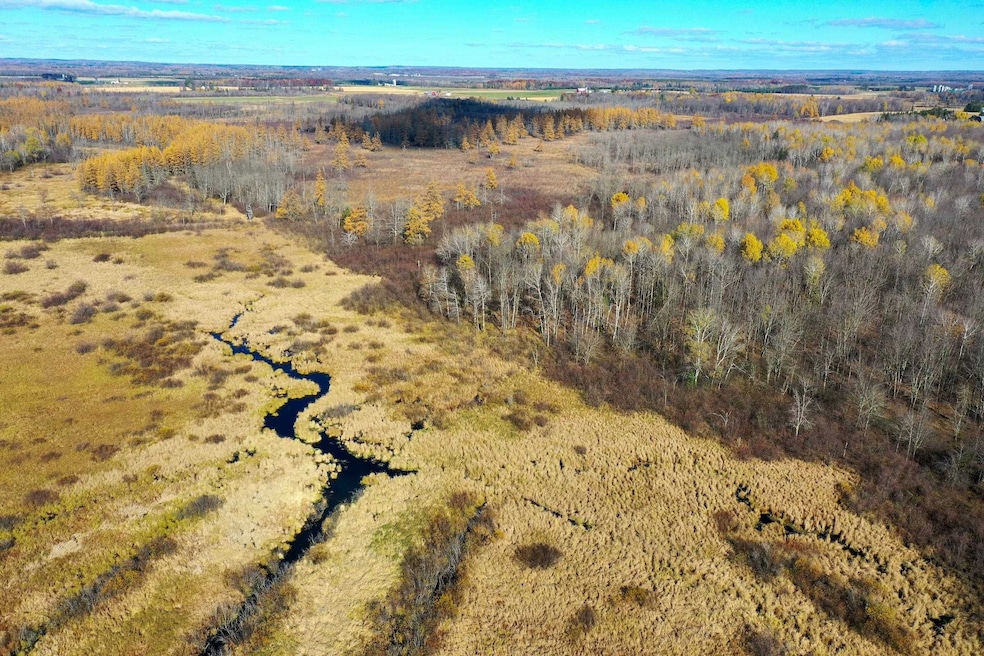 +/-23 Acres Tower Ave, Medford, WI 54451 - photo 1