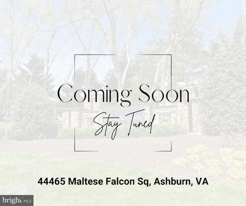44465 Maltese Falcon Square, Ashburn, VA 20147 - photo 1