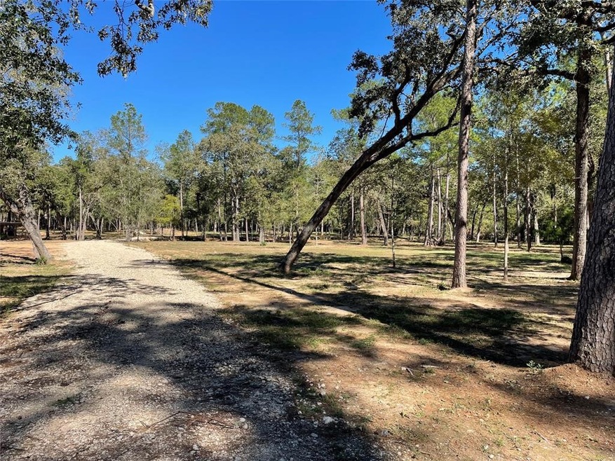 24102 Pinewood Valley Dr, Hockley, TX 77447 - photo 1