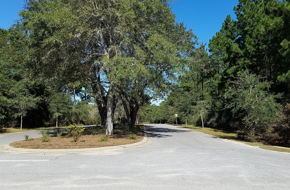 Majestic Oaks Vineyard (10-31-17) (7)