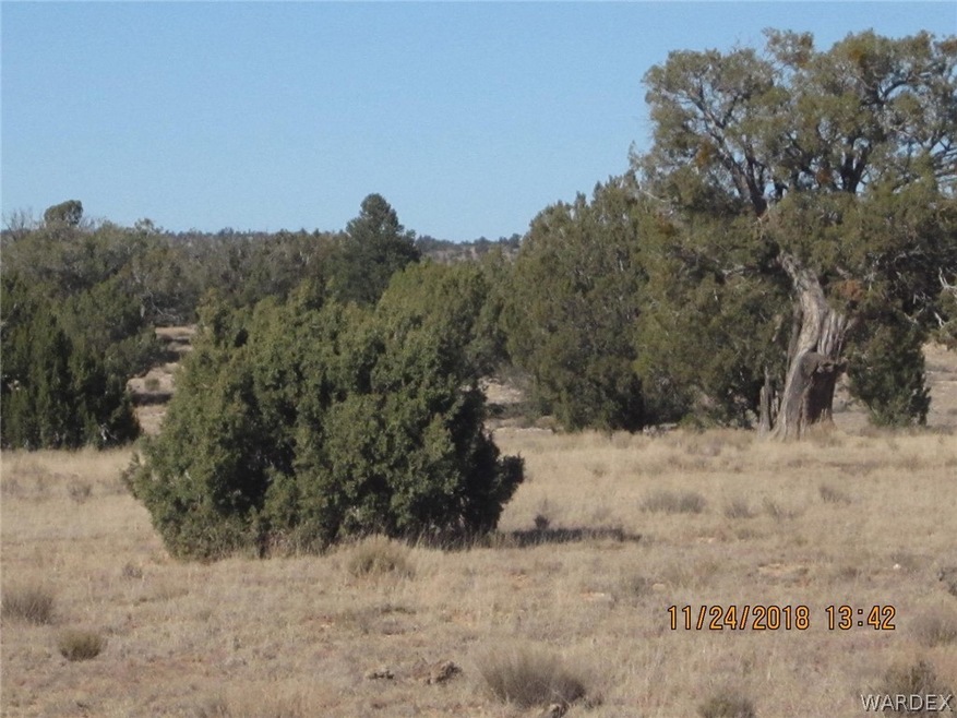 Parcel 689, Peach Springs, AZ 86434 - photo 1