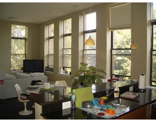 20 Mcternan St unit 207, Cambridge, MA 02139 - photo 1