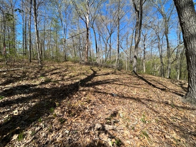 0 Stewkley Ln, Bella Vista, AR 72714 - photo 1