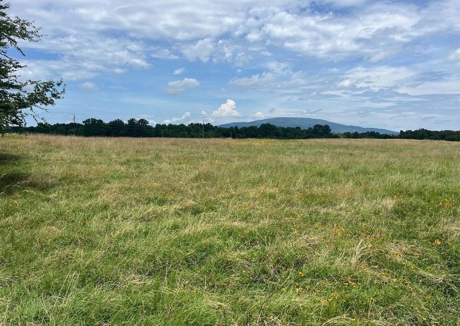 Tract 22 Waymire Road, Howe, OK 74940 - photo 1