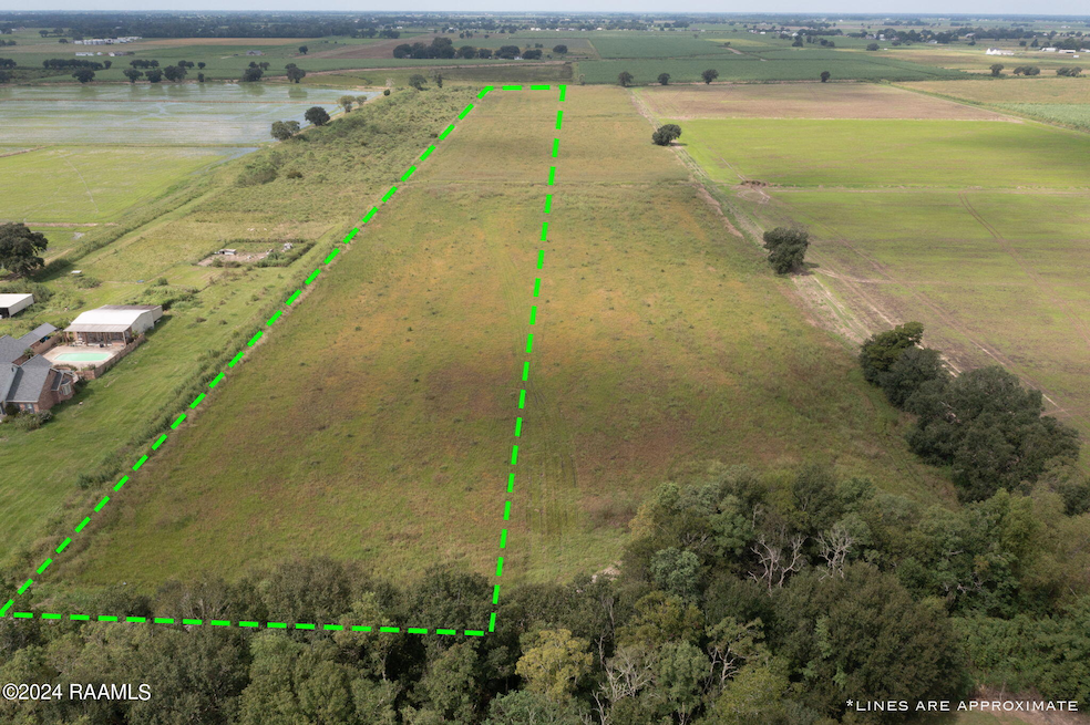 Tbd Wilson Rd, Maurice, LA 70555 - photo 1