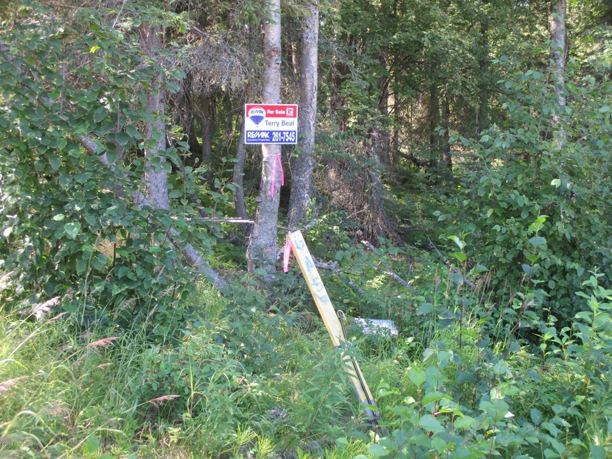 east boundary