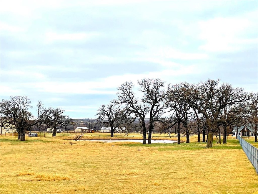 2025 Swallow Tail Ct, Poolville, TX 76487 - photo 1