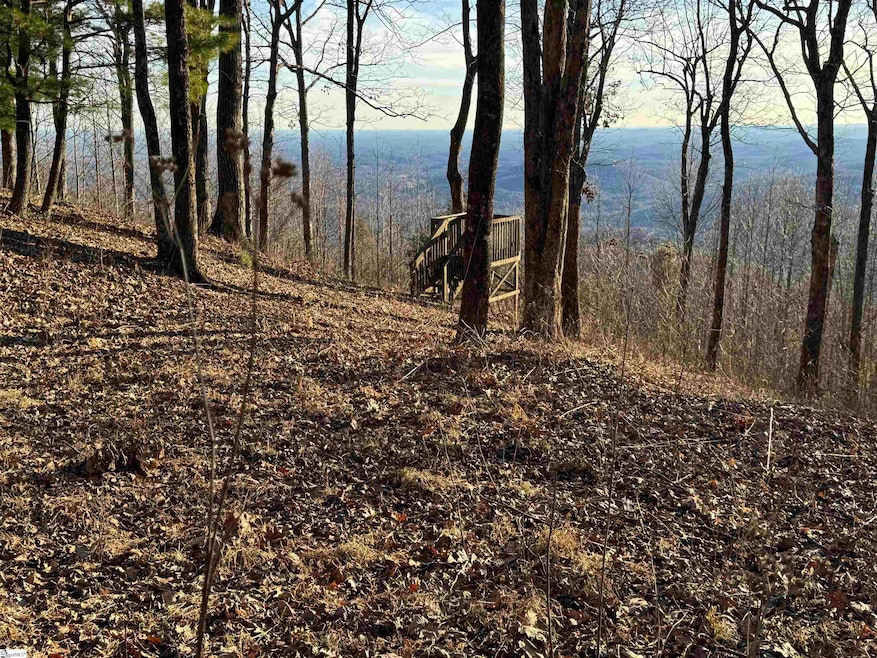 246 Bella Vista Ct unit CVN-CM-009, Zirconia, NC 28790 - photo 1