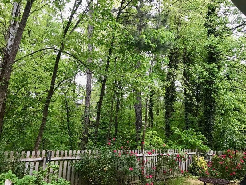 4287 Monticello Way NW, Kennesaw, GA 30144 - photo 1