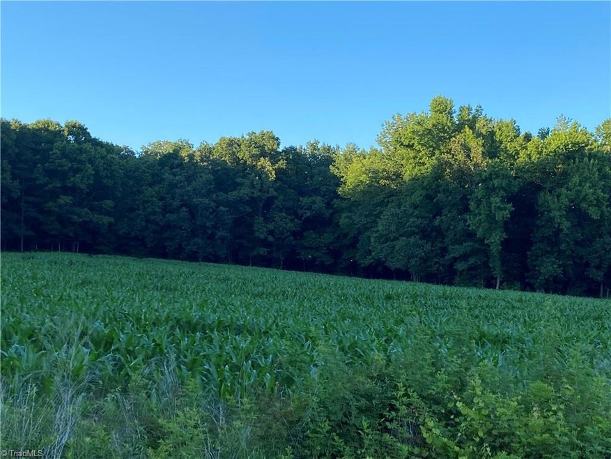 0 Ether Rd, Star, NC 27356 - photo 1