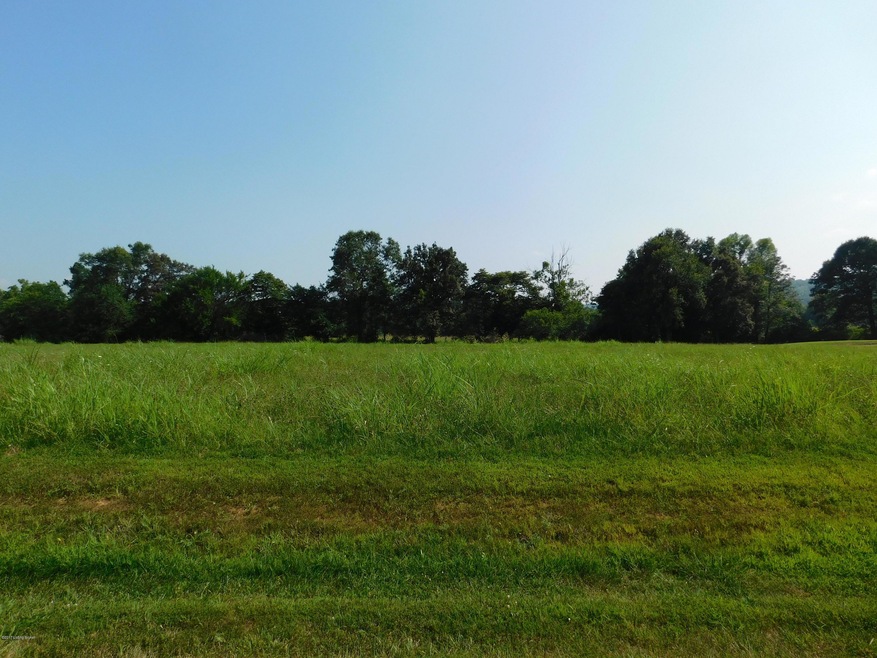 Lot View
