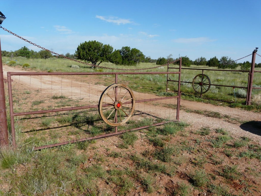 BLAZING STAR RANCH