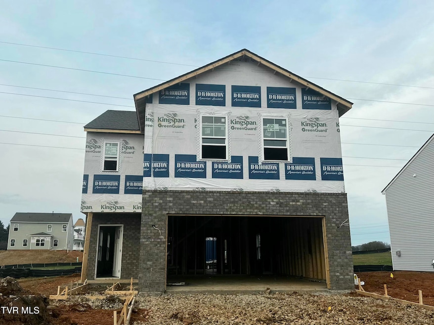 224 Chimney View Loop, Blountville, TN 37617 - photo 1