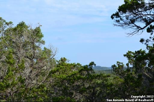 18576 Helotes Ridge, Helotes, TX 78023 - photo 1