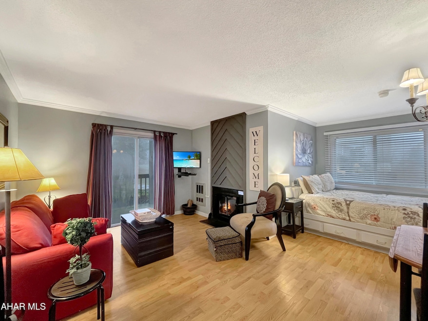 185 E Valley Point Ln unit B101, Claysburg, PA 16625 - photo 1