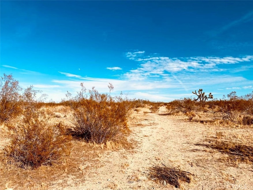 135 135th St E, Pearblossom, CA 93553 - photo 1