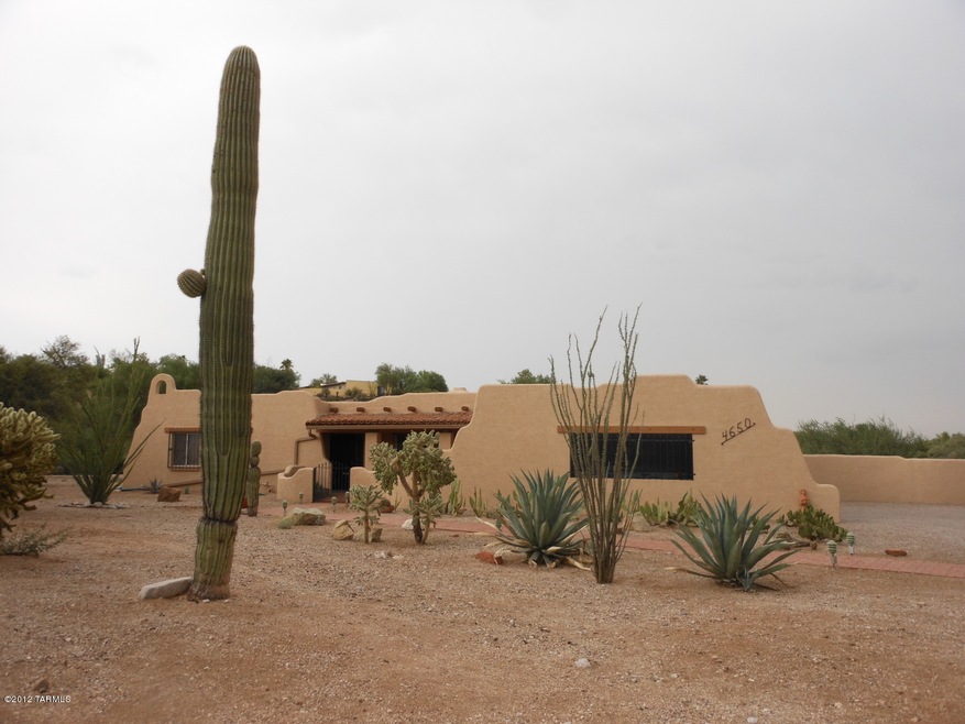 Wonderful desert front yard!