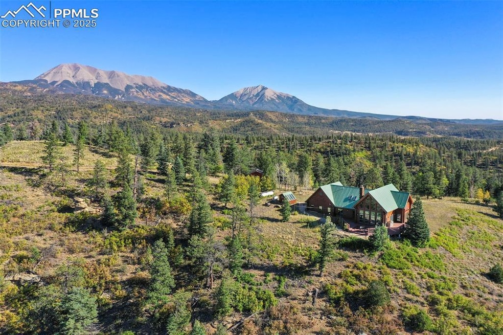 Bird's eye view with a mountain view and a view of trees