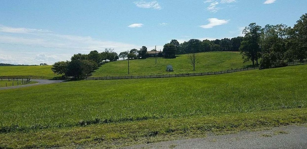 TBD Lea Port Rd, Mount Sidney, VA 24467 - photo 1