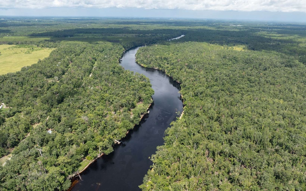 TBD NE 185th Rd, Live Oak, FL 32060 - photo 1