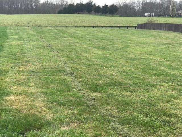 1759 Pearl Ave, Cookeville, TN 38506 - photo 1