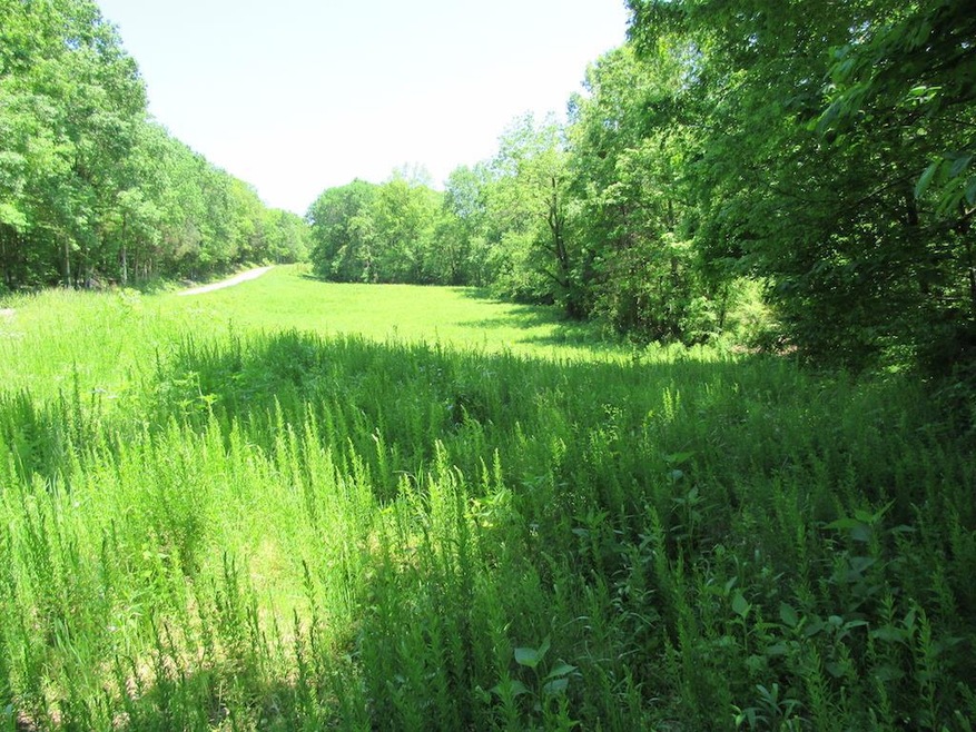 1890 Mayberry Prong Rd, Linden, TN 37096 - photo 1