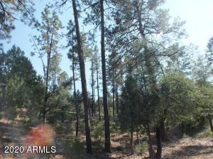 Tall Pines on Lot