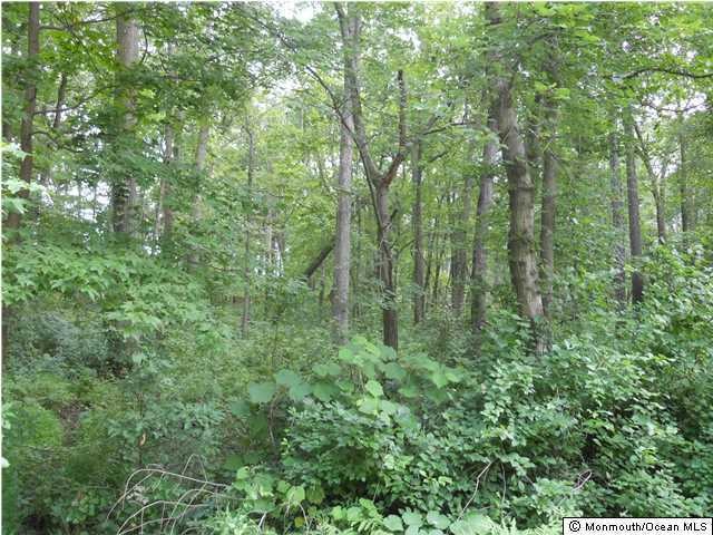 0 Tennent Rd unit 22116531, Marlboro, NJ 07746 - photo 1