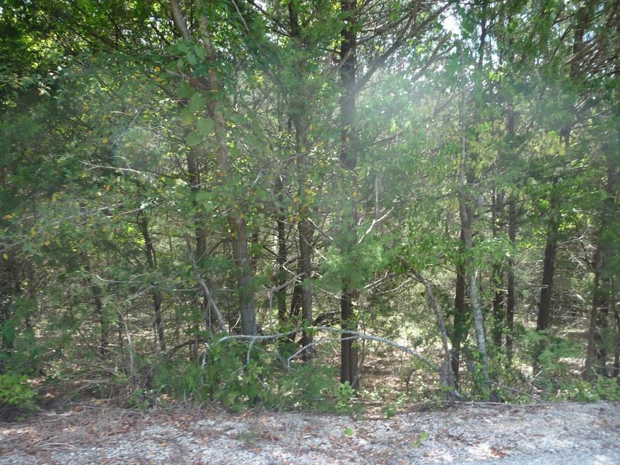 Tbd Kimberling Hills, Kimberling City, MO 65686 - photo 1