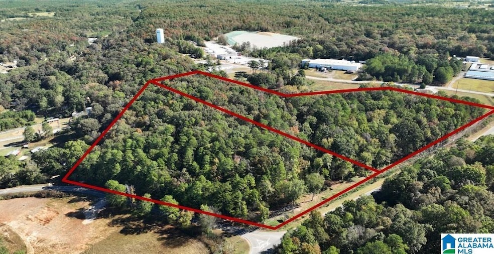 249 Highway 216, Montevallo, AL 35115 - photo 1