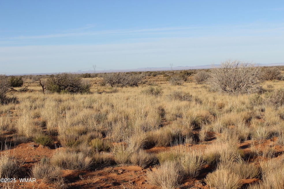 Lot 224 Ccr, Heber, AZ 85928 - photo 1