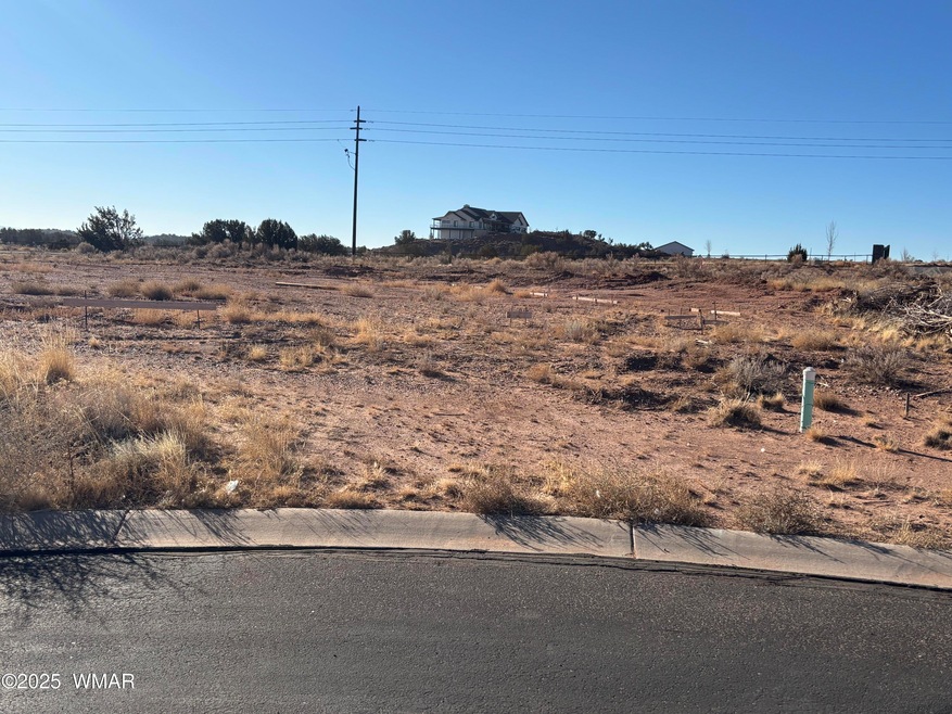 2153 W Elk Rd, Snowflake, AZ 85937 - photo 1