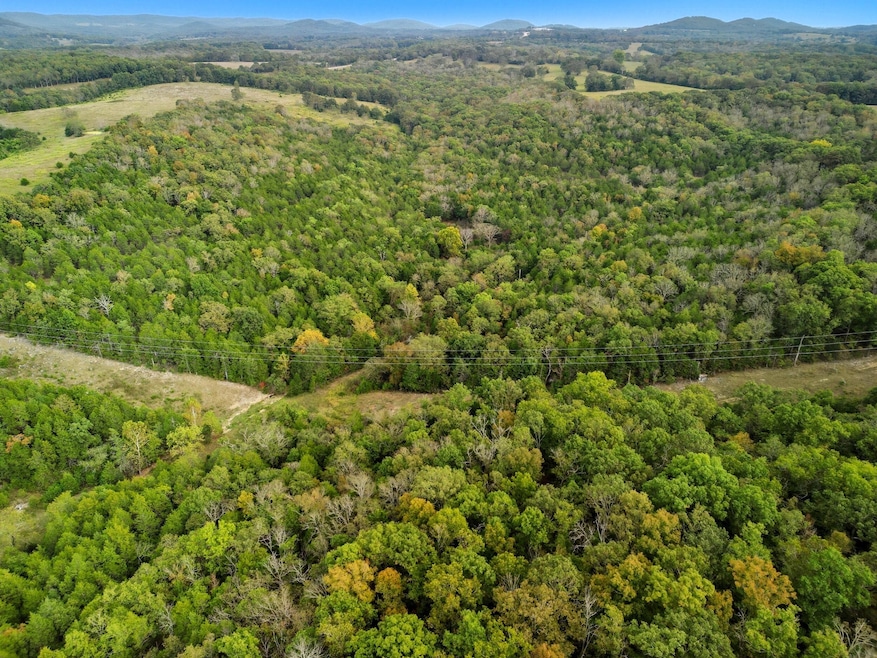 Tbd Tall Timbers Trail, Gainesville, MO 65655 - photo 1