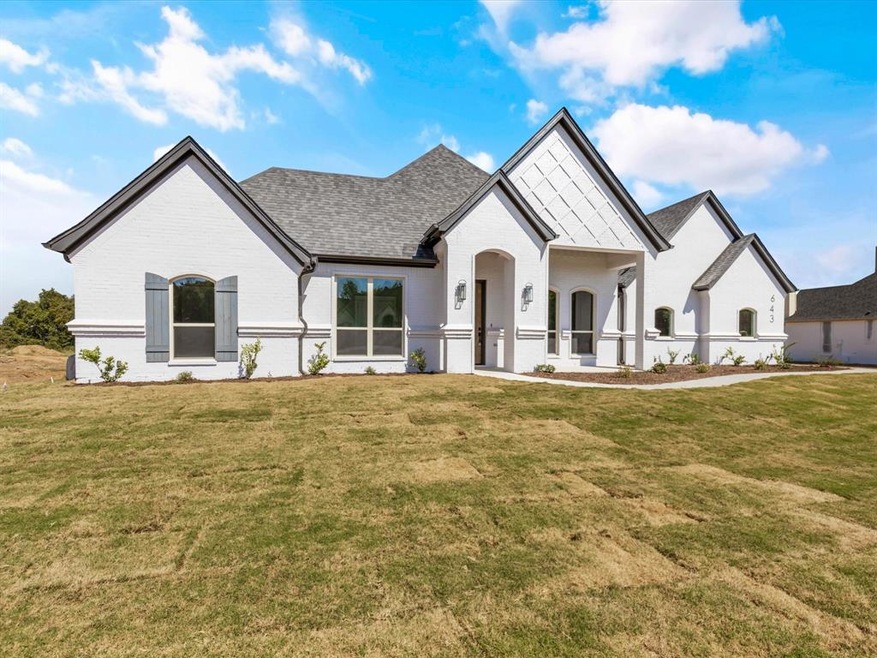 643 Winkler Way, Springtown, TX 76082 - photo 1