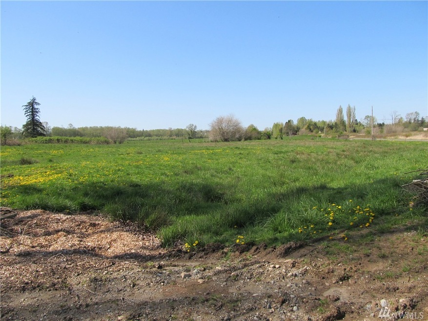 0 Arnie Rd, Custer, WA 98240 - photo 1