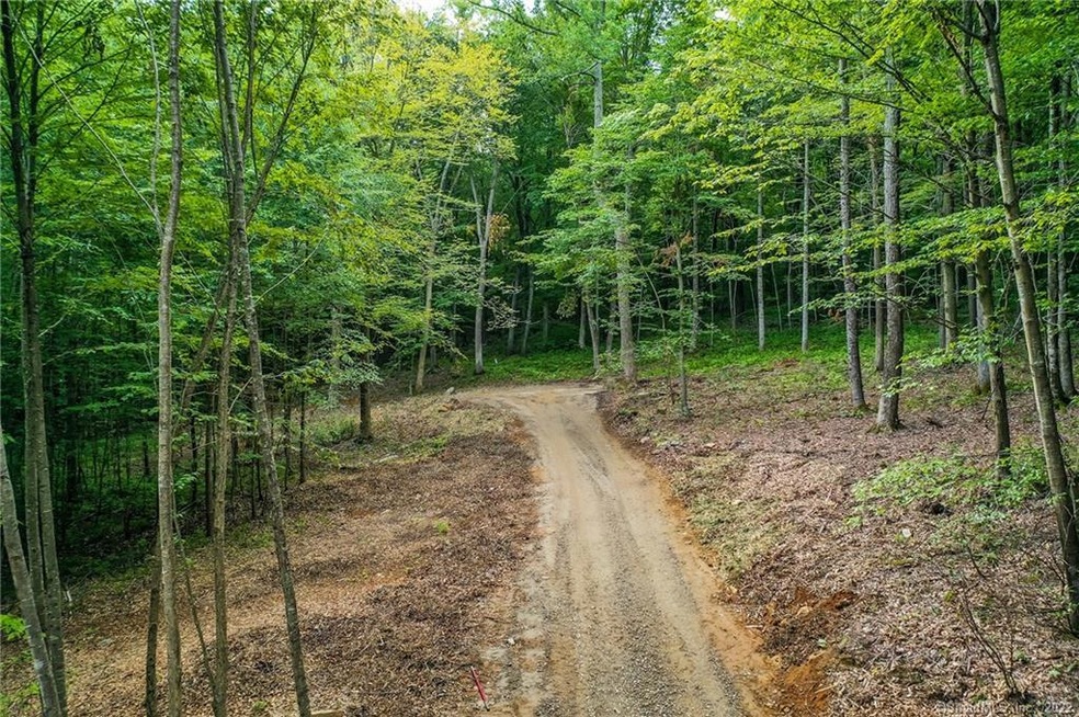 177 E Flag Swamp Rd, Roxbury, CT 06783 - photo 1