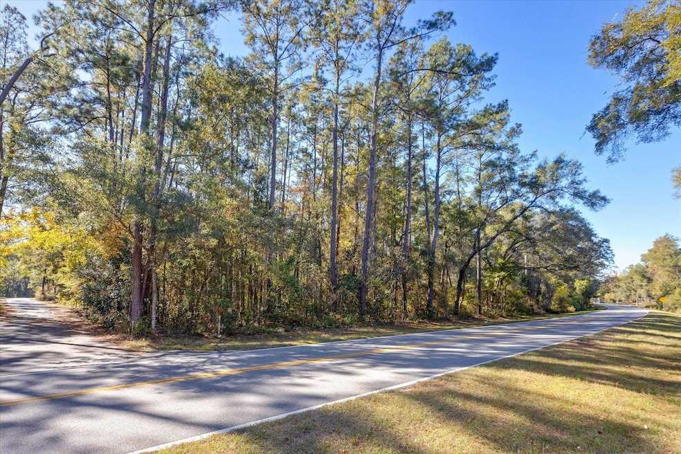 0 Tram Rd unit 393471, Tallahassee, FL 32311 - photo 1