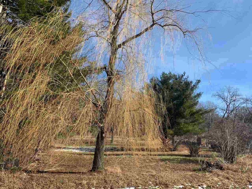 31704 County Road A, Clifton, WI 54618 - photo 1