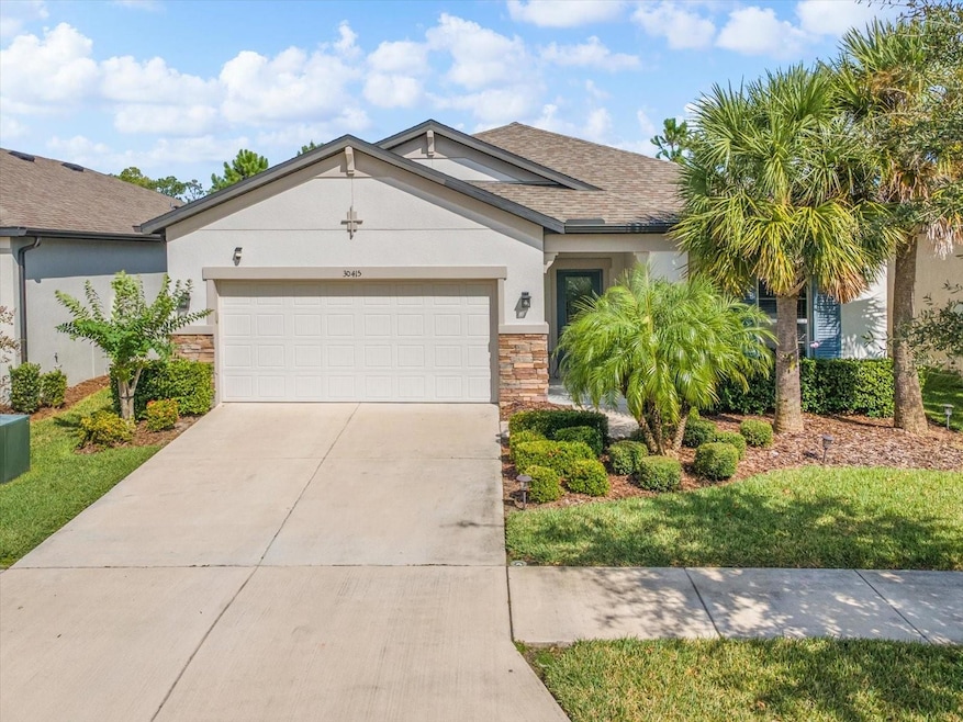 30415 Caravelle Ln, Wesley Chapel, FL 33545 - photo 1