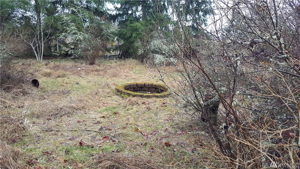 9105 Mountain View Rd SE, Yelm, WA 98597 - photo 1