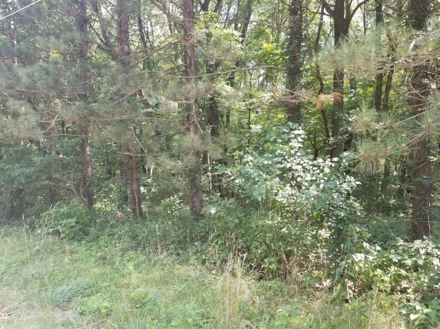 1 S 350 E, Pleasant Township, IN 46350 - photo 1