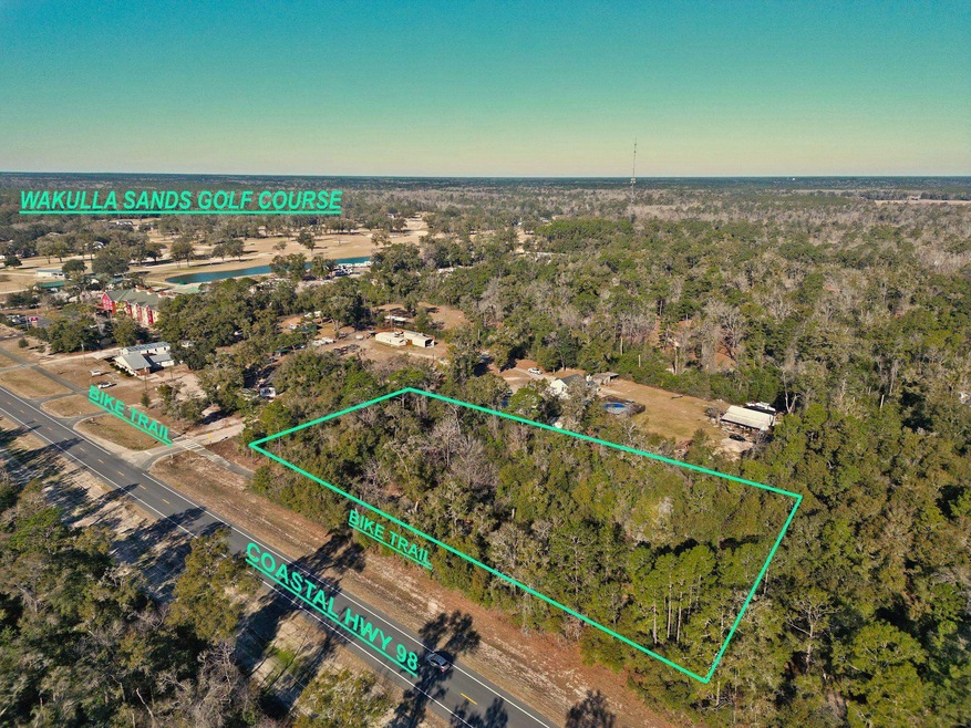 xx Lonesome Rd, Crawfordville, FL 32327 - photo 1