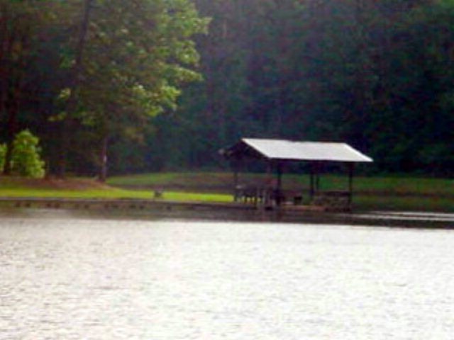 Primary Photo