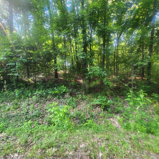 L-25 B-7 Navajo Trace, Cherokee Village, AR 72529 - photo 1