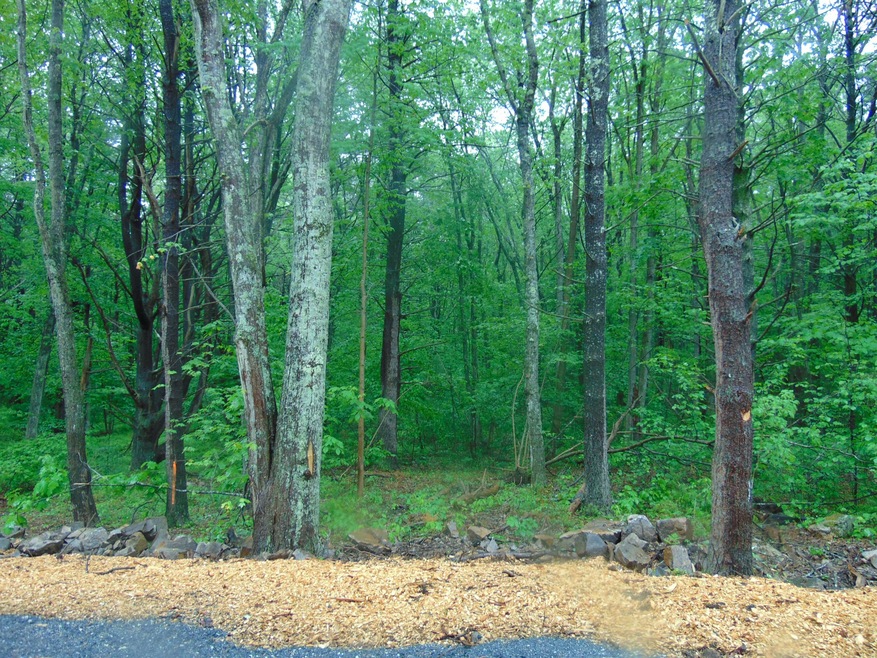 367 Pine Hill Rd unit 9G-2, York, ME 03902 - photo 1