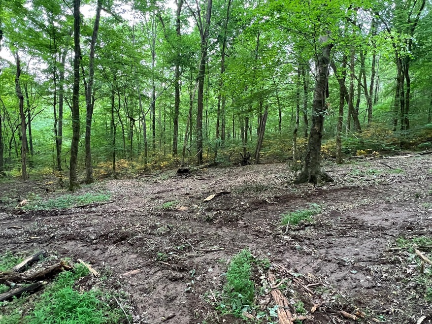 1360 Case Rd, Prospect, TN 38477 - photo 1